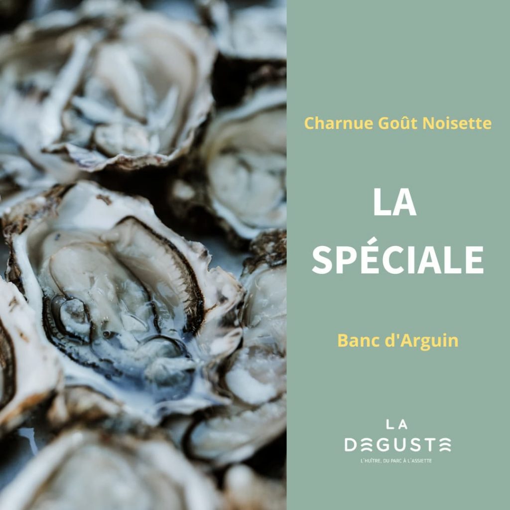 Offre spéciale huitres